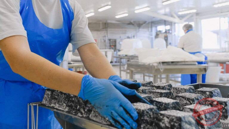 Kawasan Industri Batang: Lokasi, Investasi, dan Prospeknya