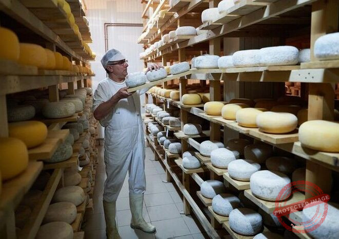 Negara yang Terkenal Akan Produksi Kejunya